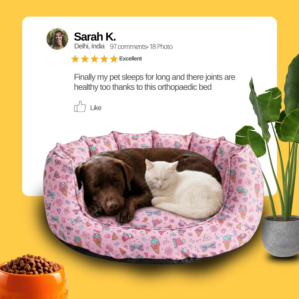 SnoozeSofa IceCream Print Bed