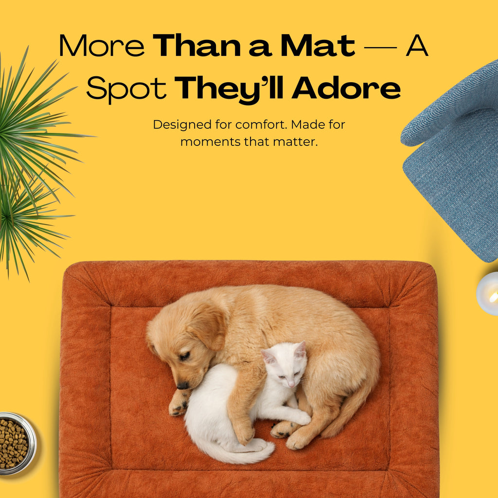 LazyLounge Pet Mat