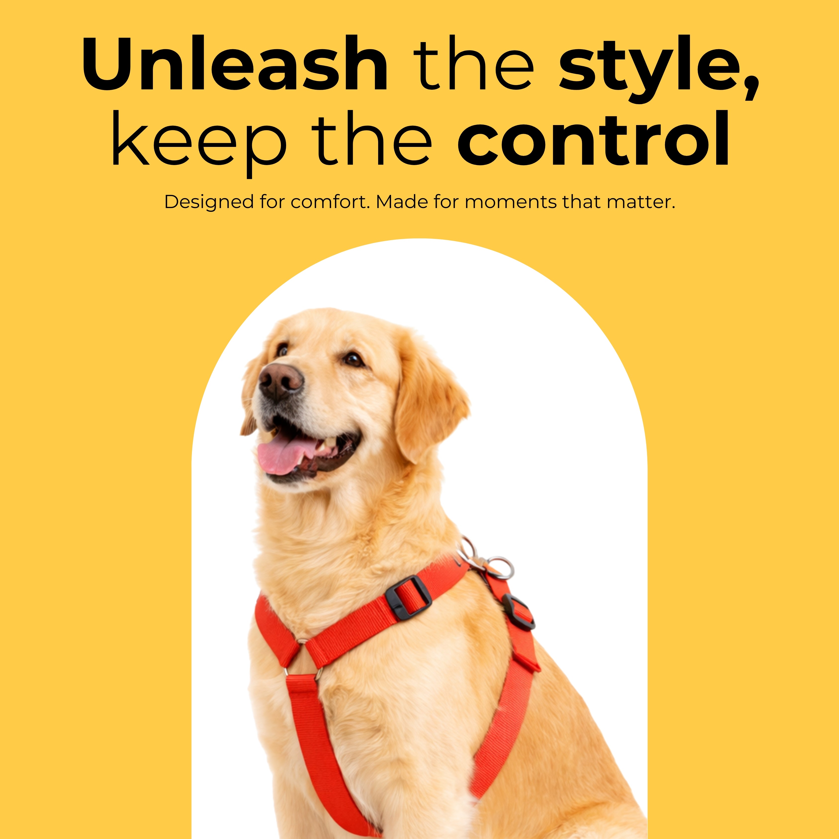 Guardian Harness & Matching Leash