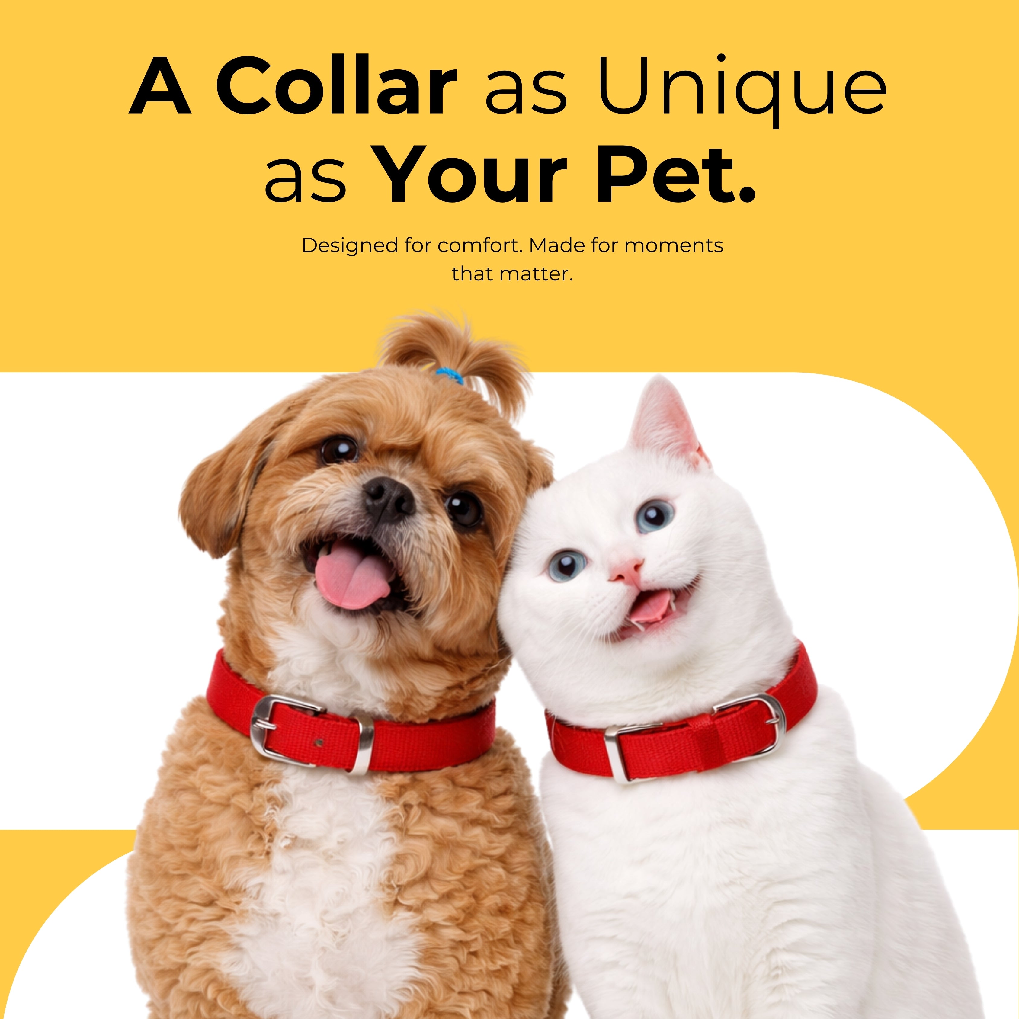 Guardian Collar & Matching Leash