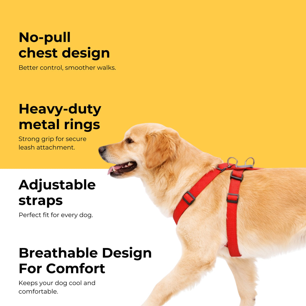 Guardian Harness & Matching Leash
