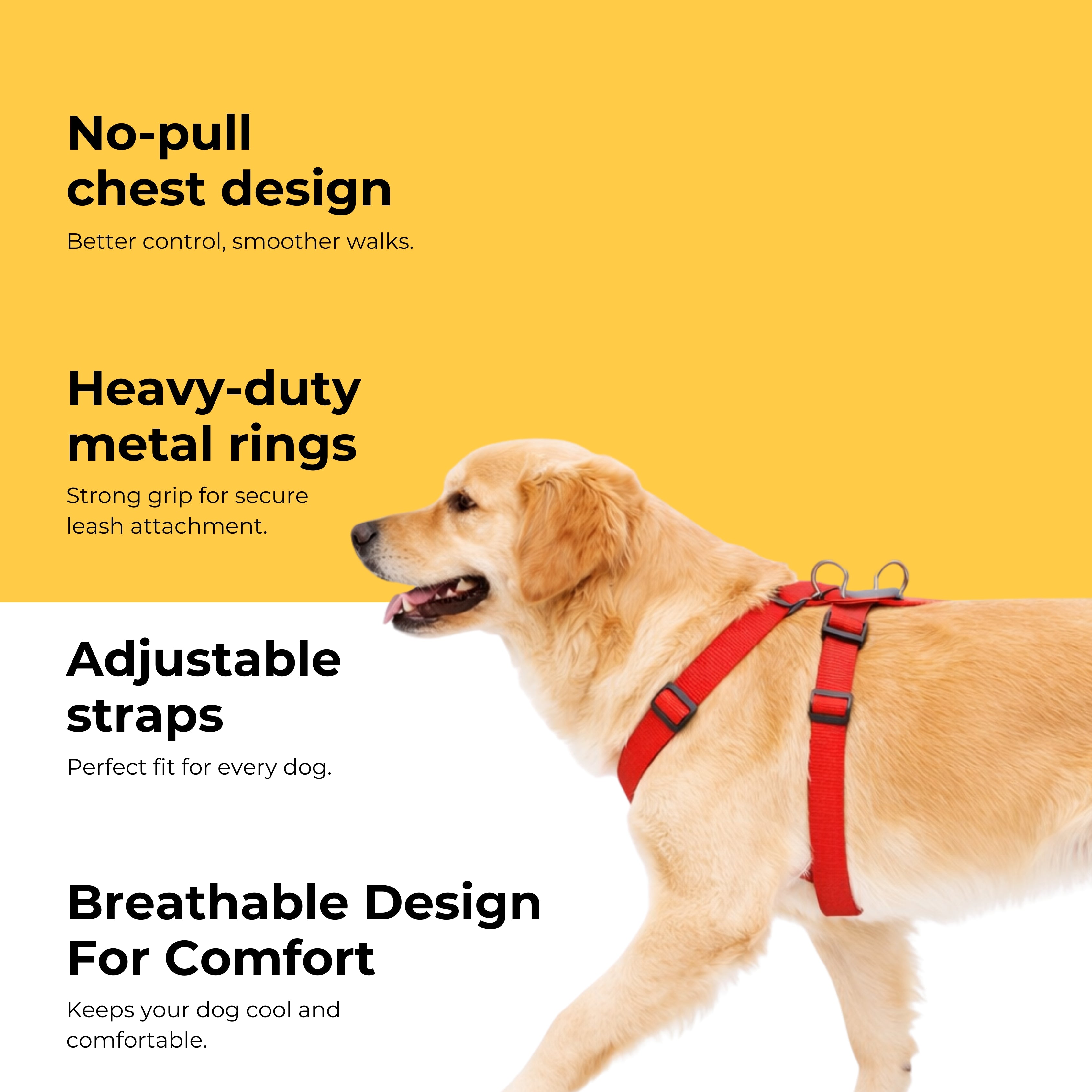 Guardian Harness & Matching Leash