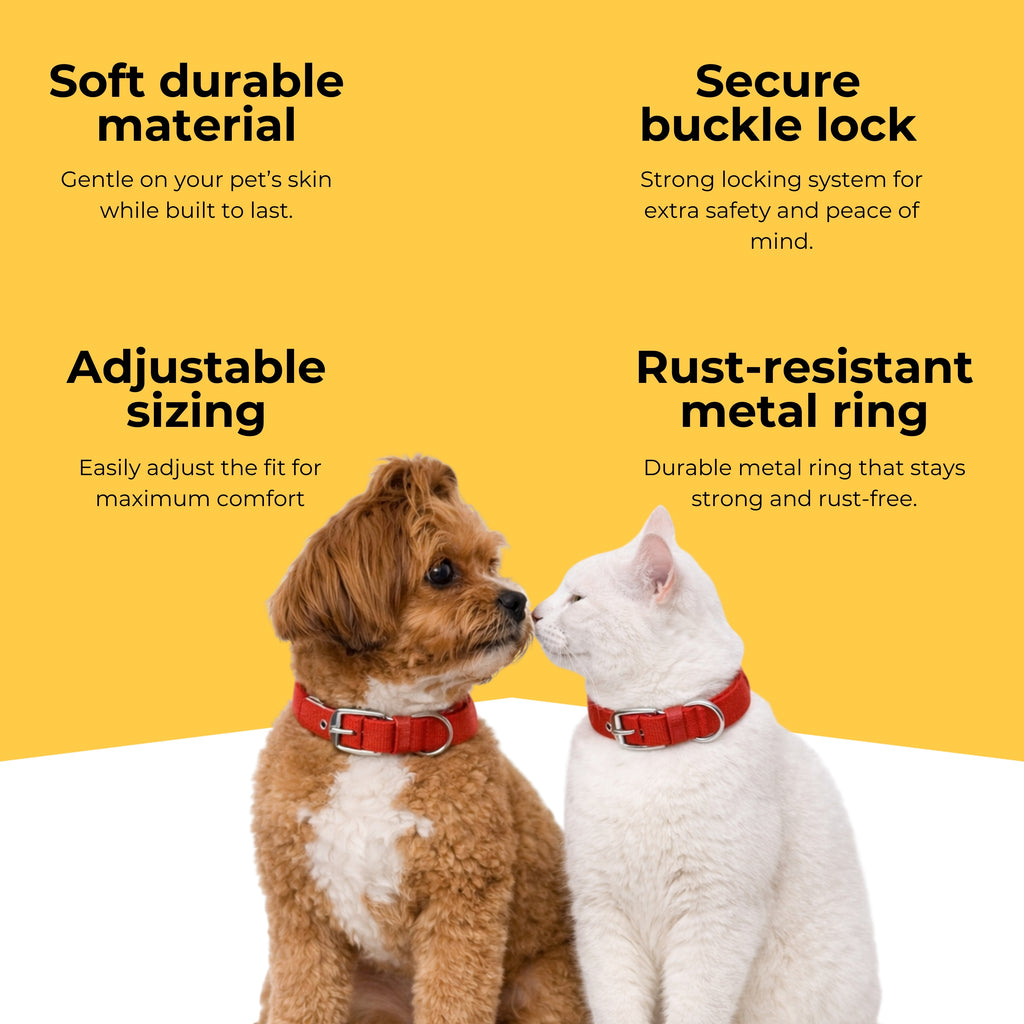 Guardian Collar & Matching Leash
