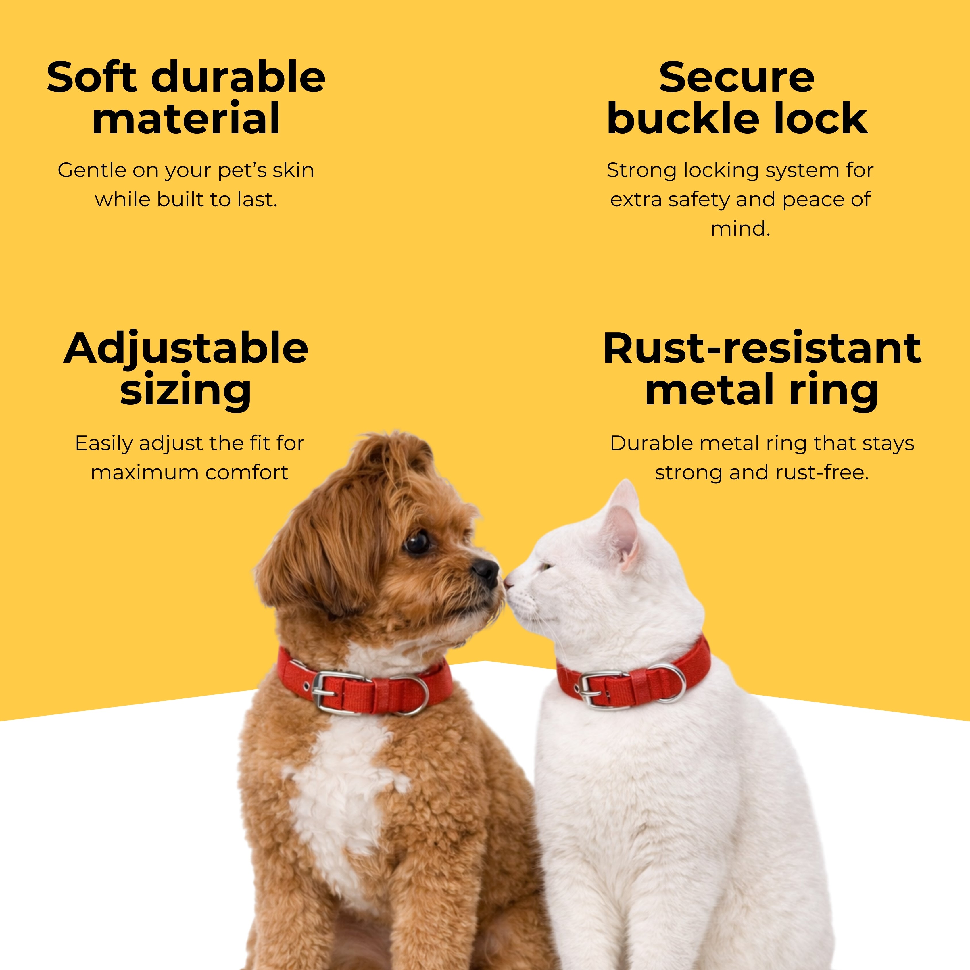 Guardian Collar & Matching Leash