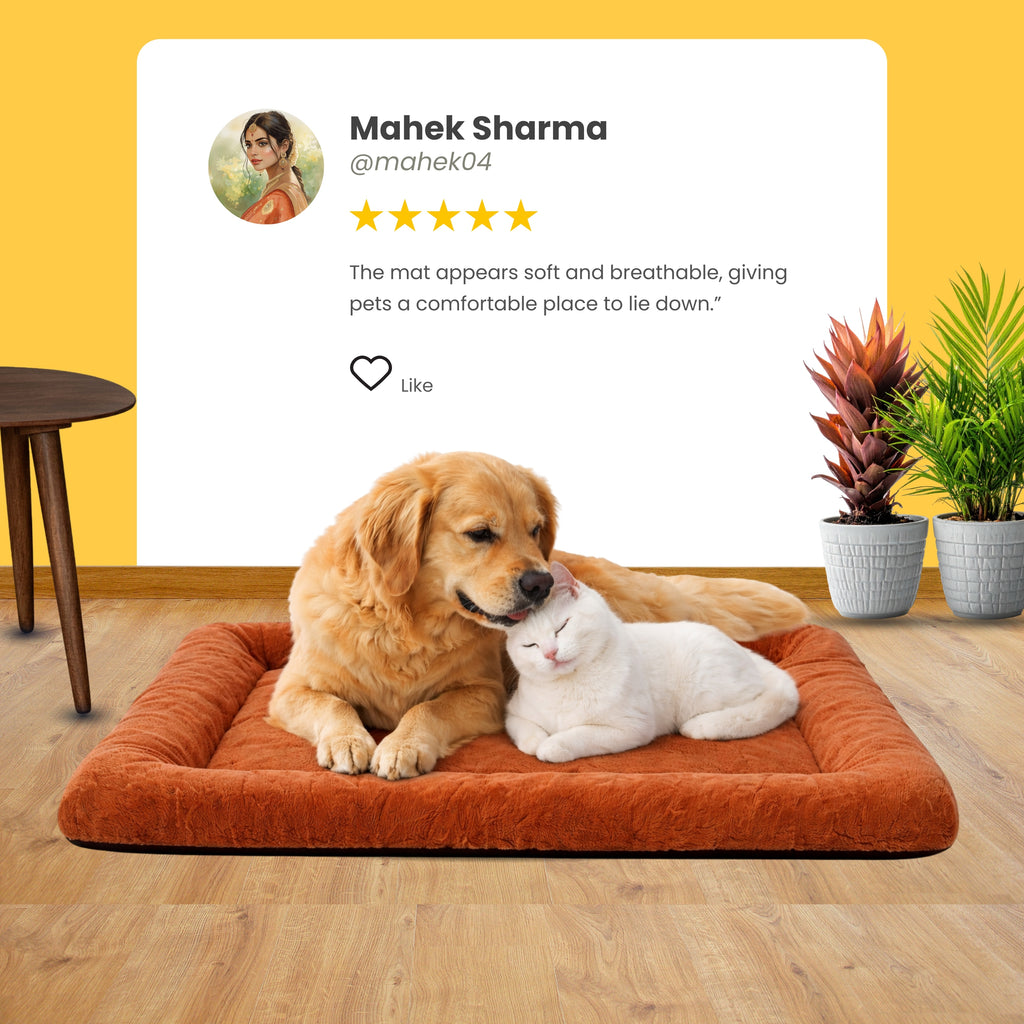 LazyLounge Pet Mat