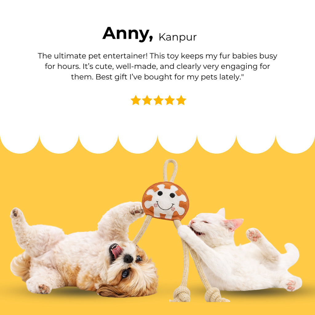 RopeBuddy Tug Toy