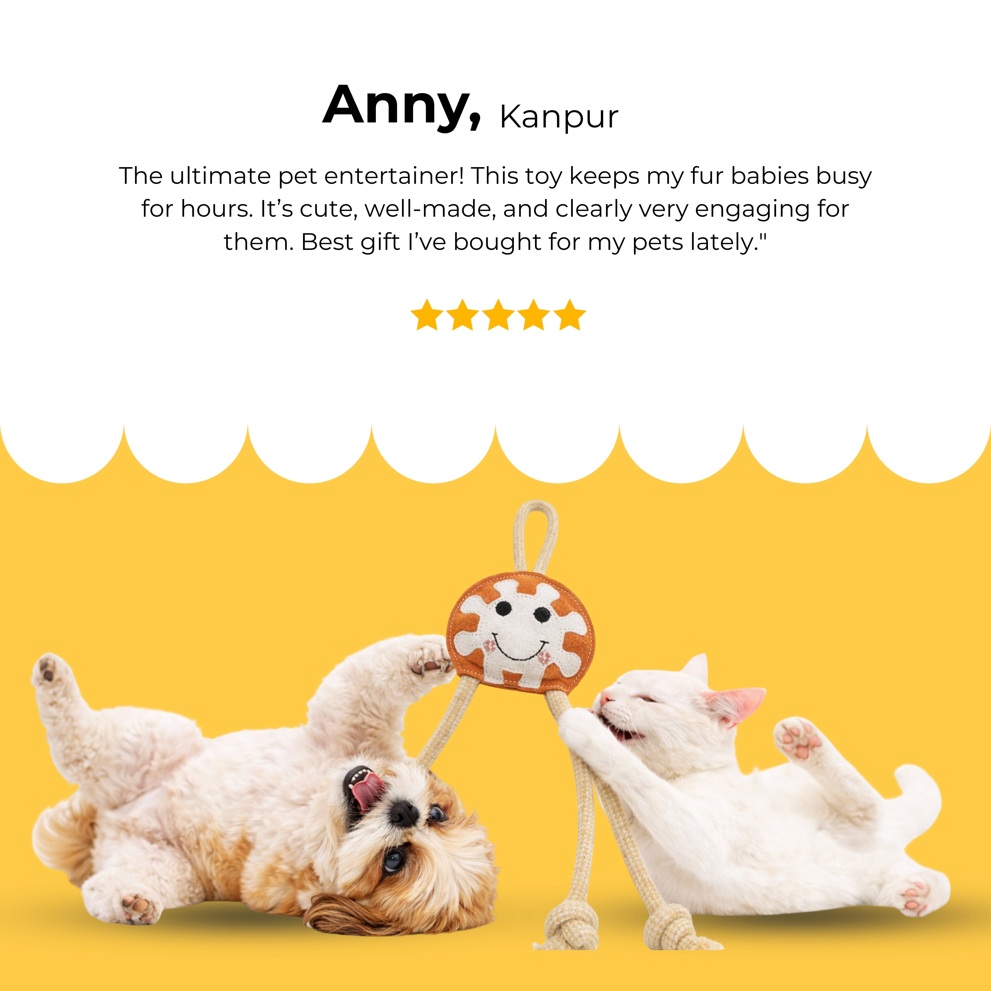 RopeBuddy Tug Toy