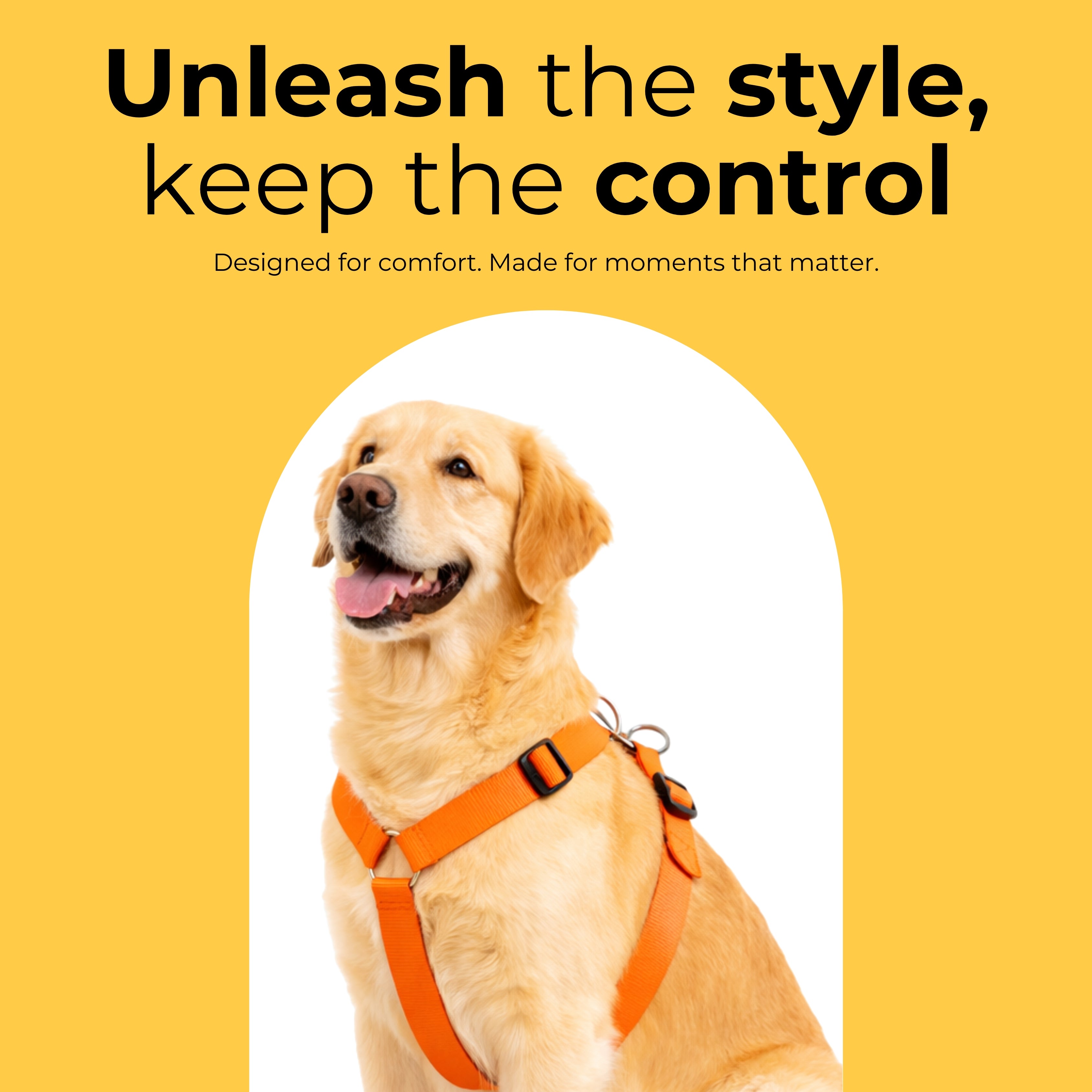 HappyPup Harness & Matching Leash