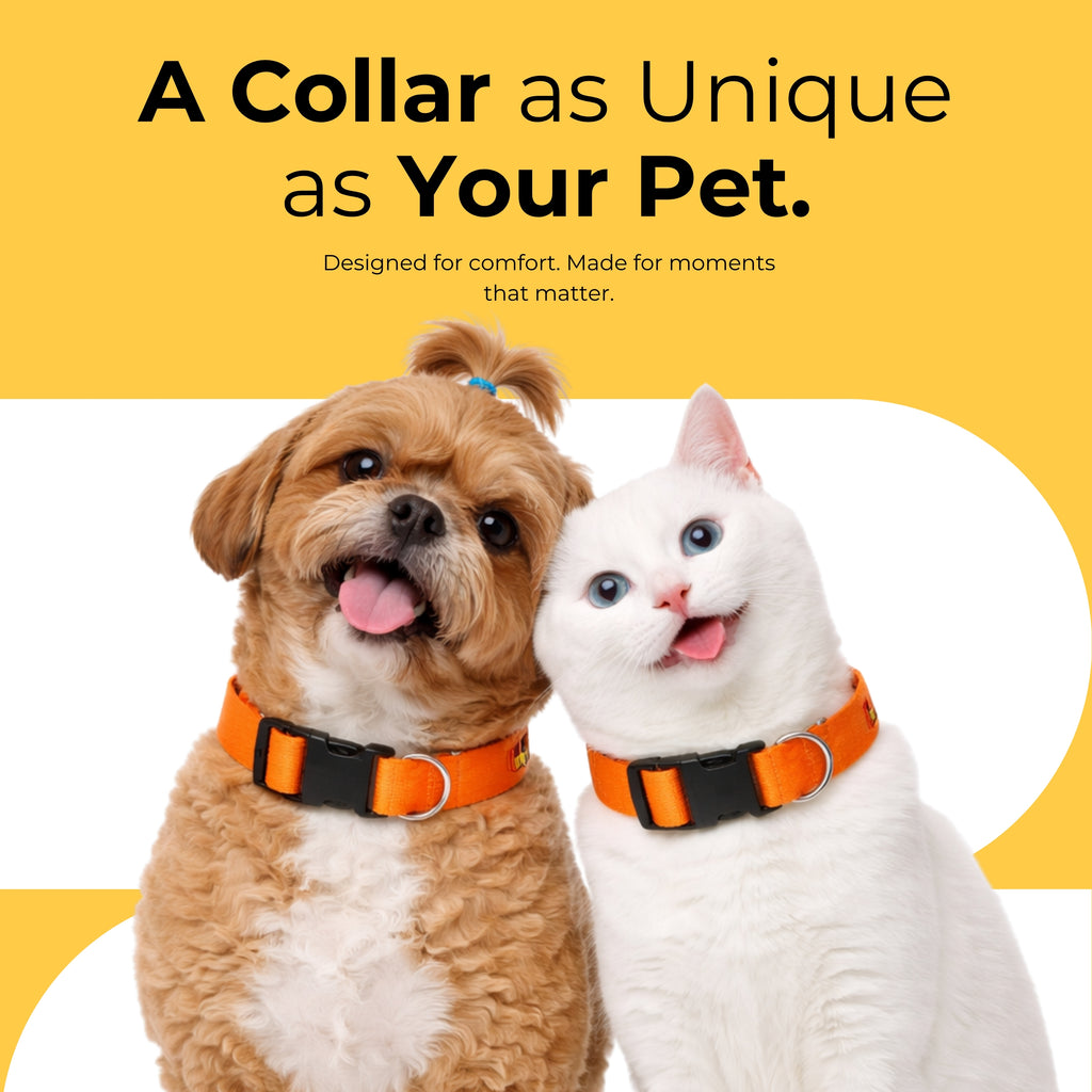 HappyPup Collar & Matching Leash