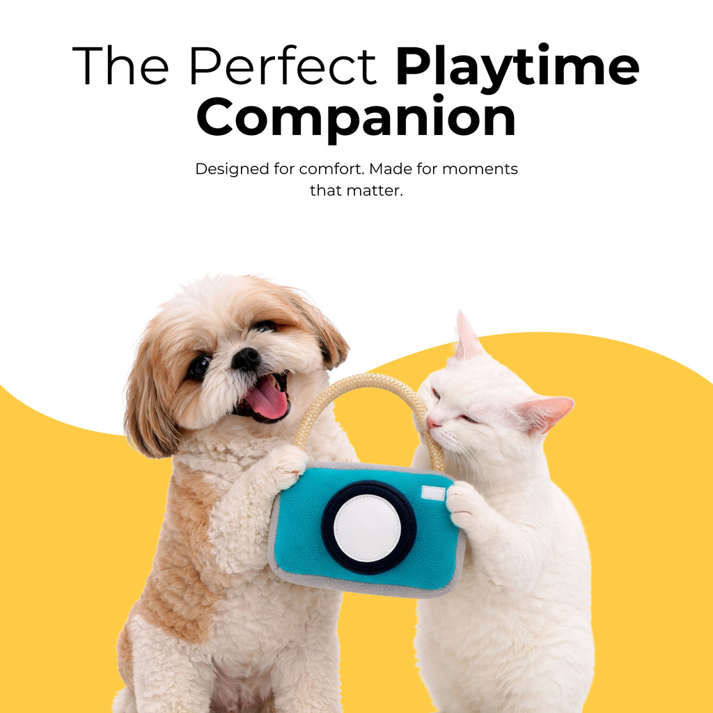 PawPrint Camera Toy