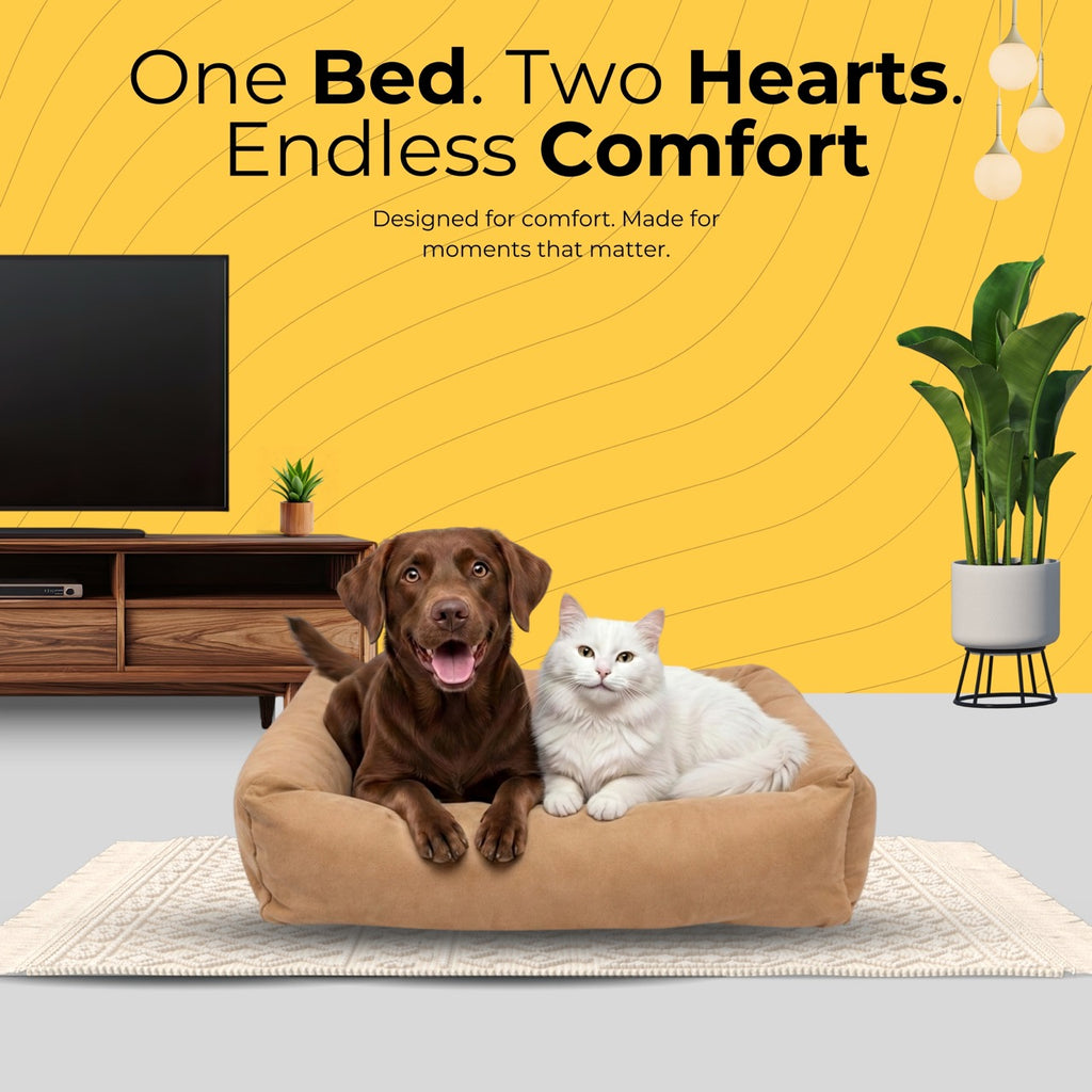 LoungeRest Bolster Plain Bed