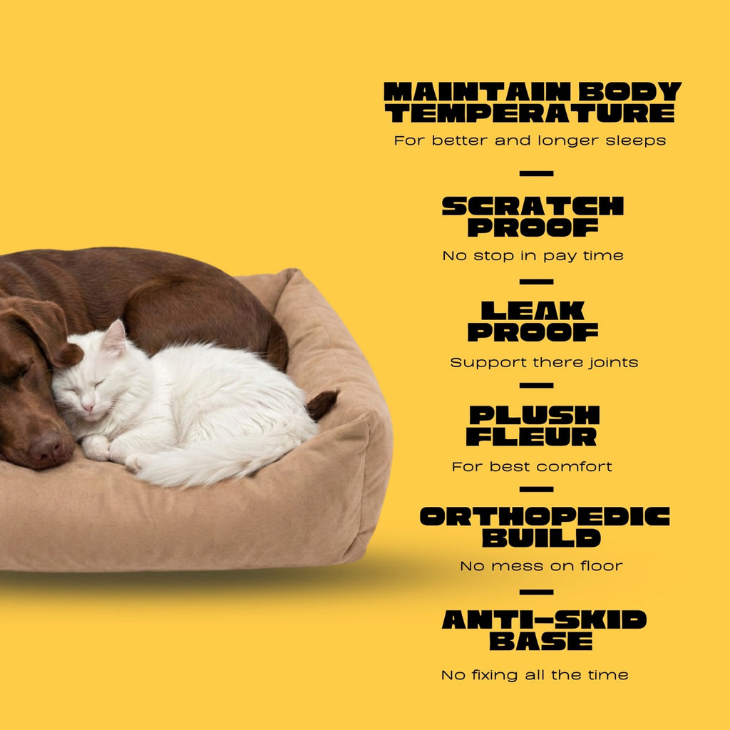 LoungeRest Bolster Plain Bed