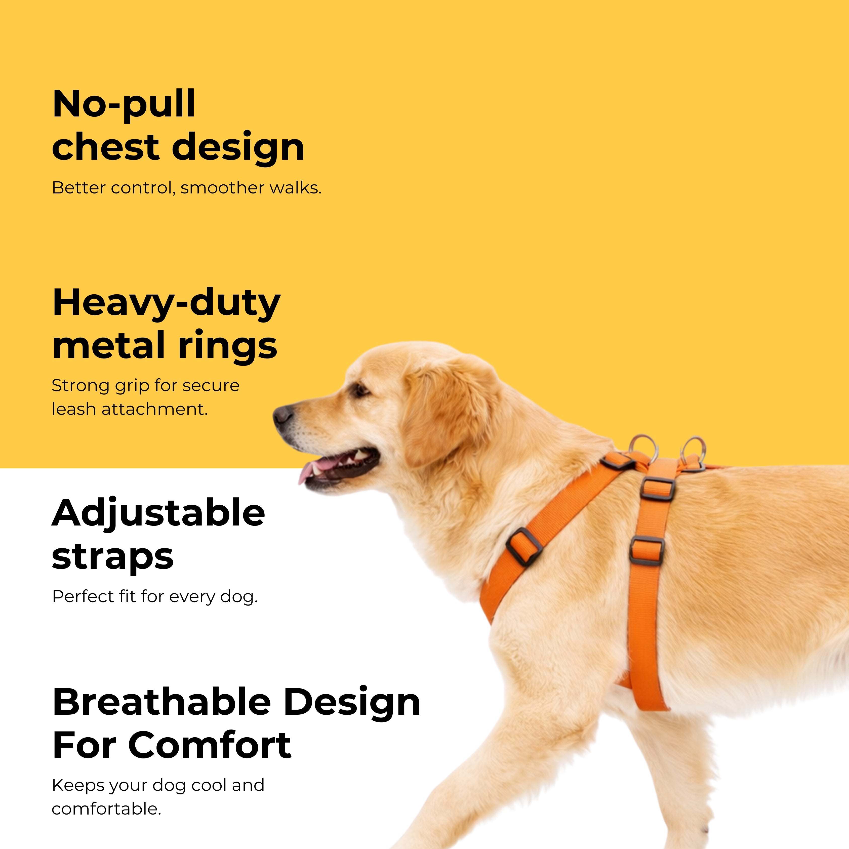 HappyPup Harness & Matching Leash