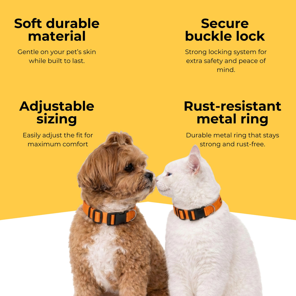 HappyPup Collar & Matching Leash