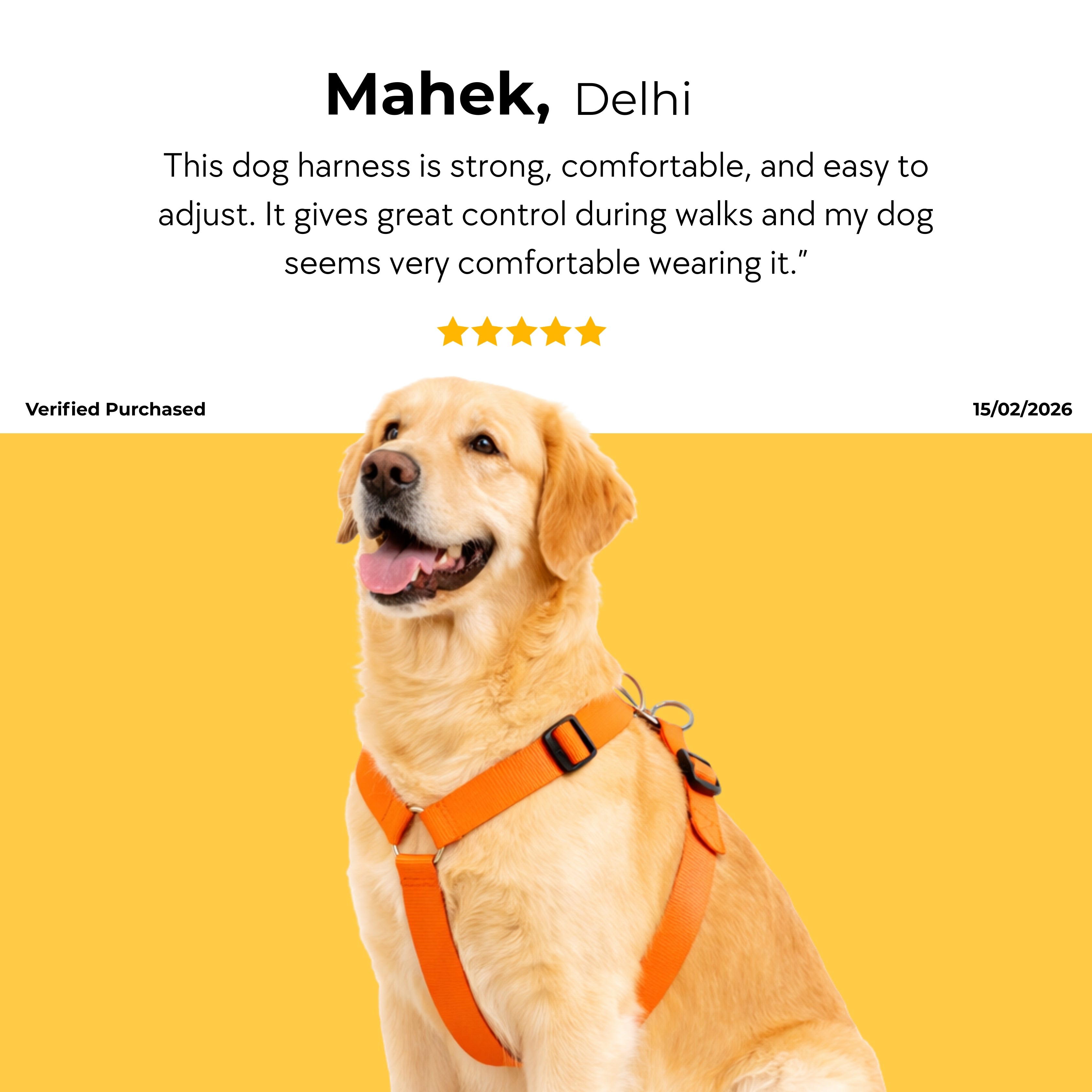HappyPup Harness & Matching Leash