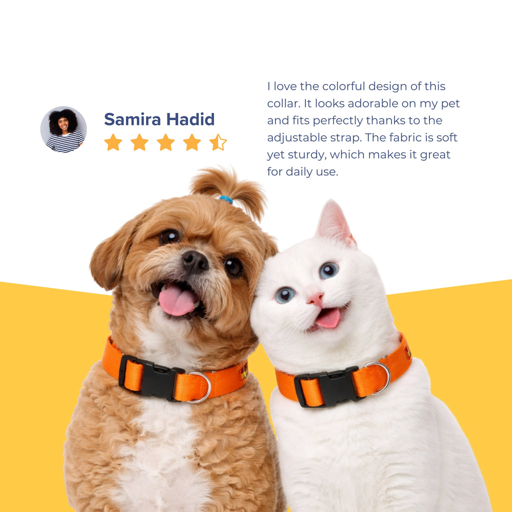 HappyPup Collar & Matching Leash
