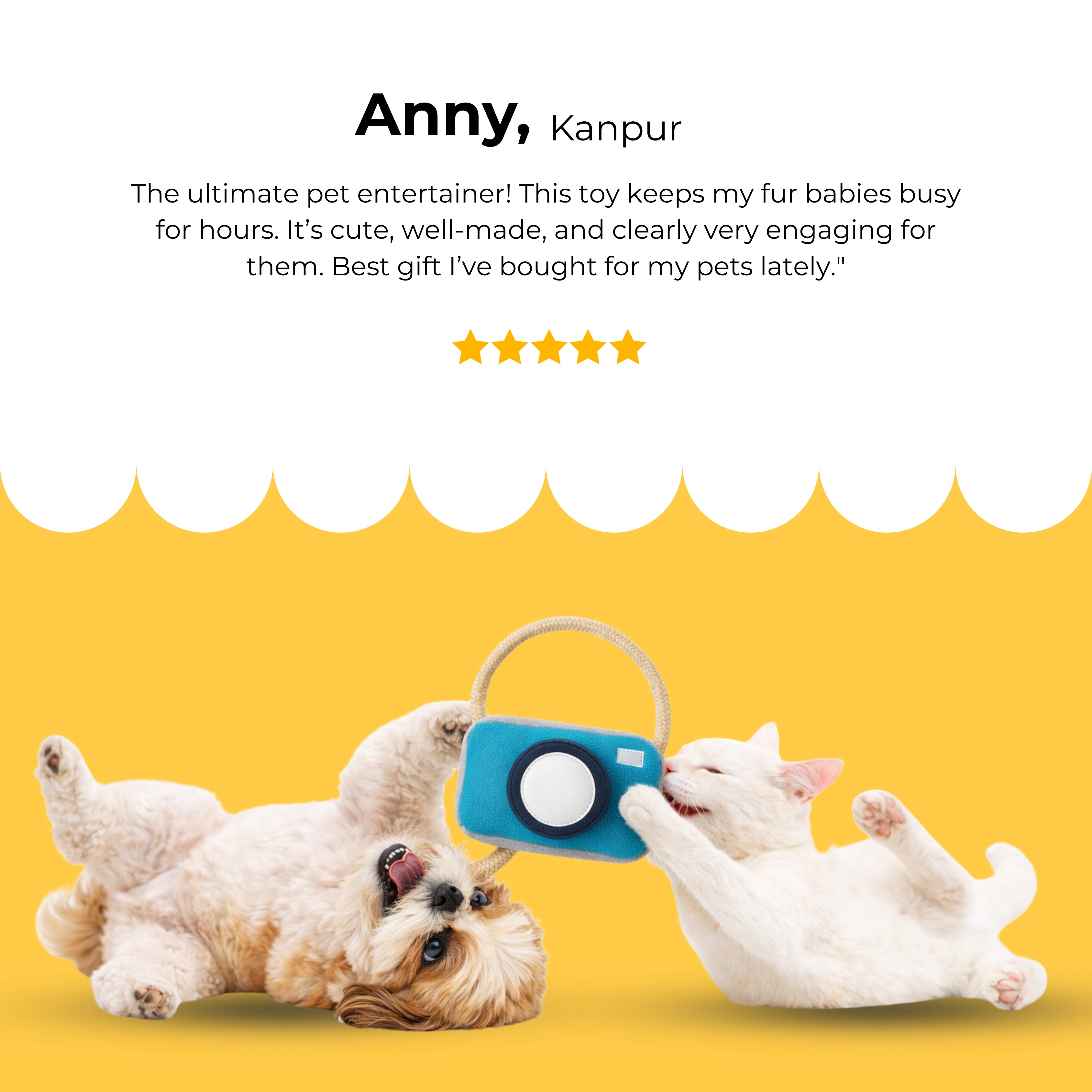 PawPrint Camera Toy