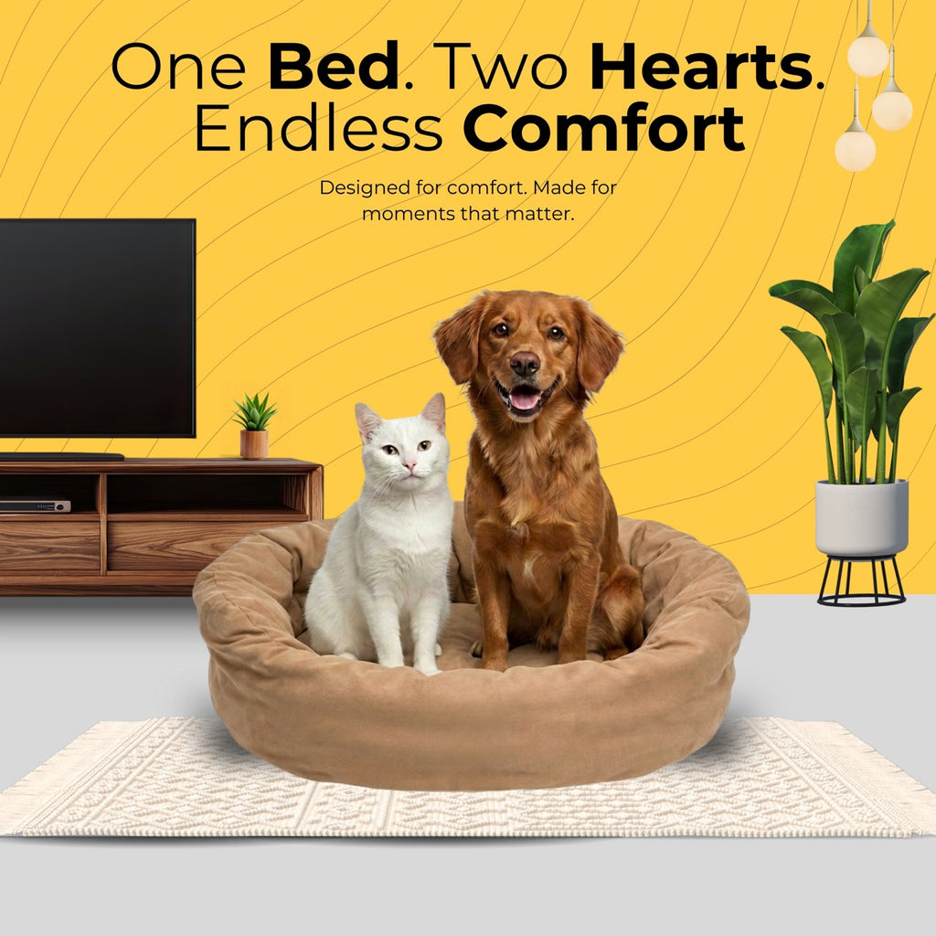 DailyLounge Round Bed