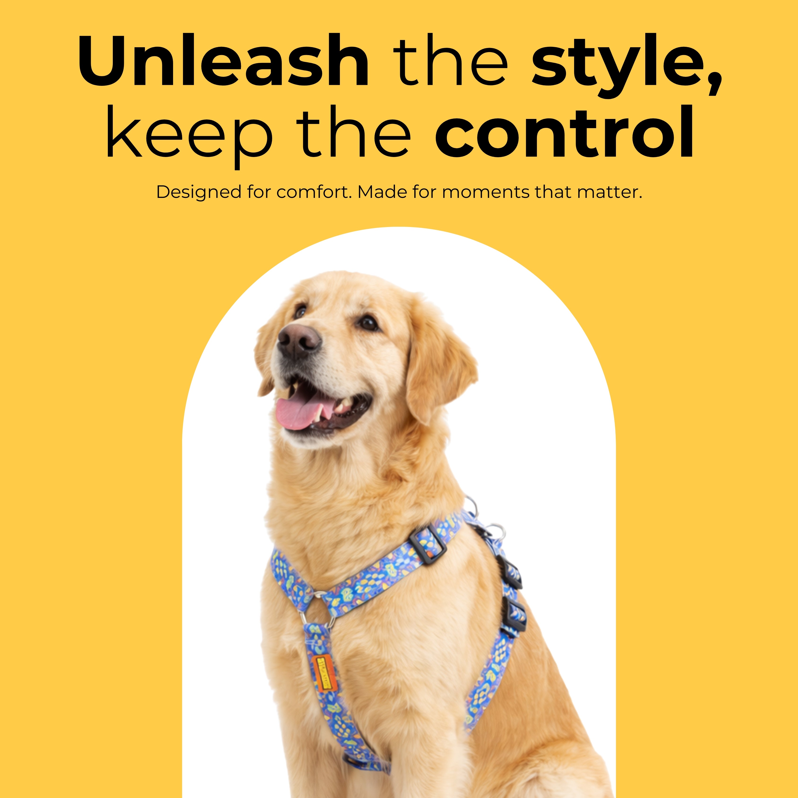 Artisan Blue Harness & Matching Leash