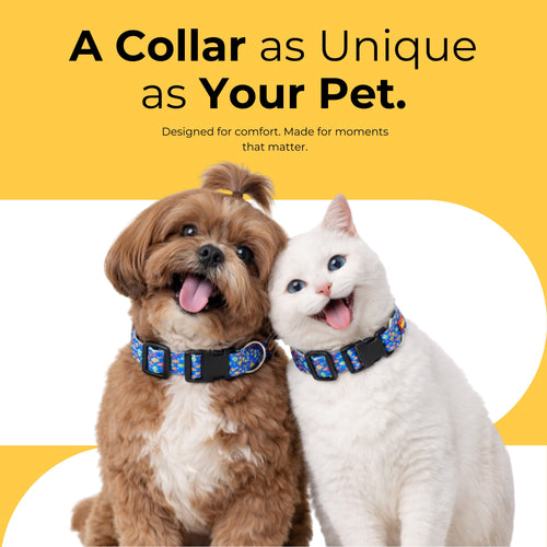 Artisan Blue Collar & Matching Leash