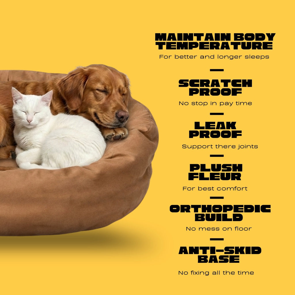 DailyLounge Round Bed