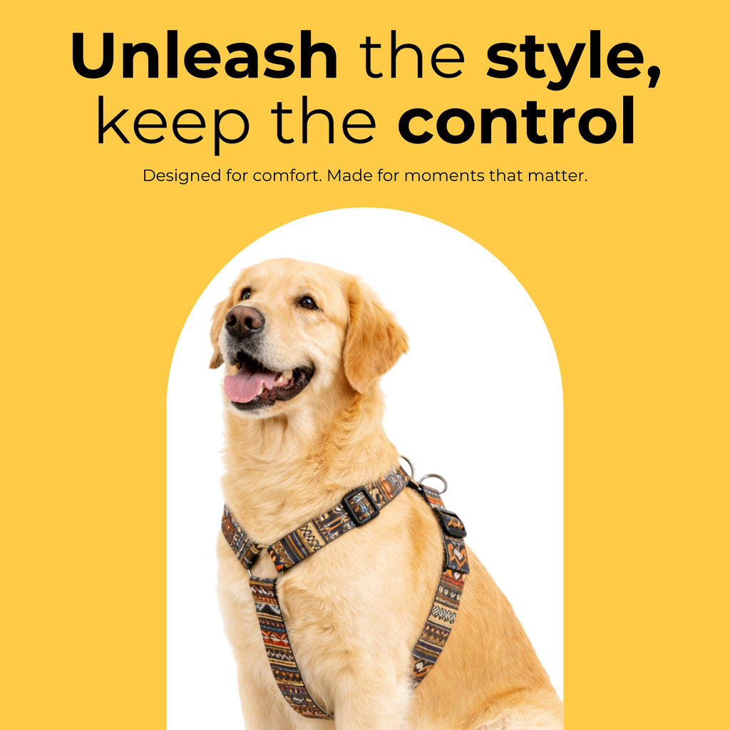 Heritage Harness & Matching Leash