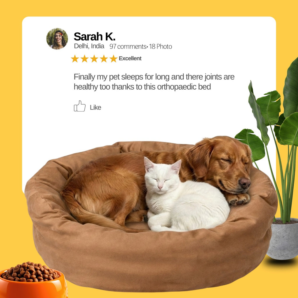 DailyLounge Round Bed