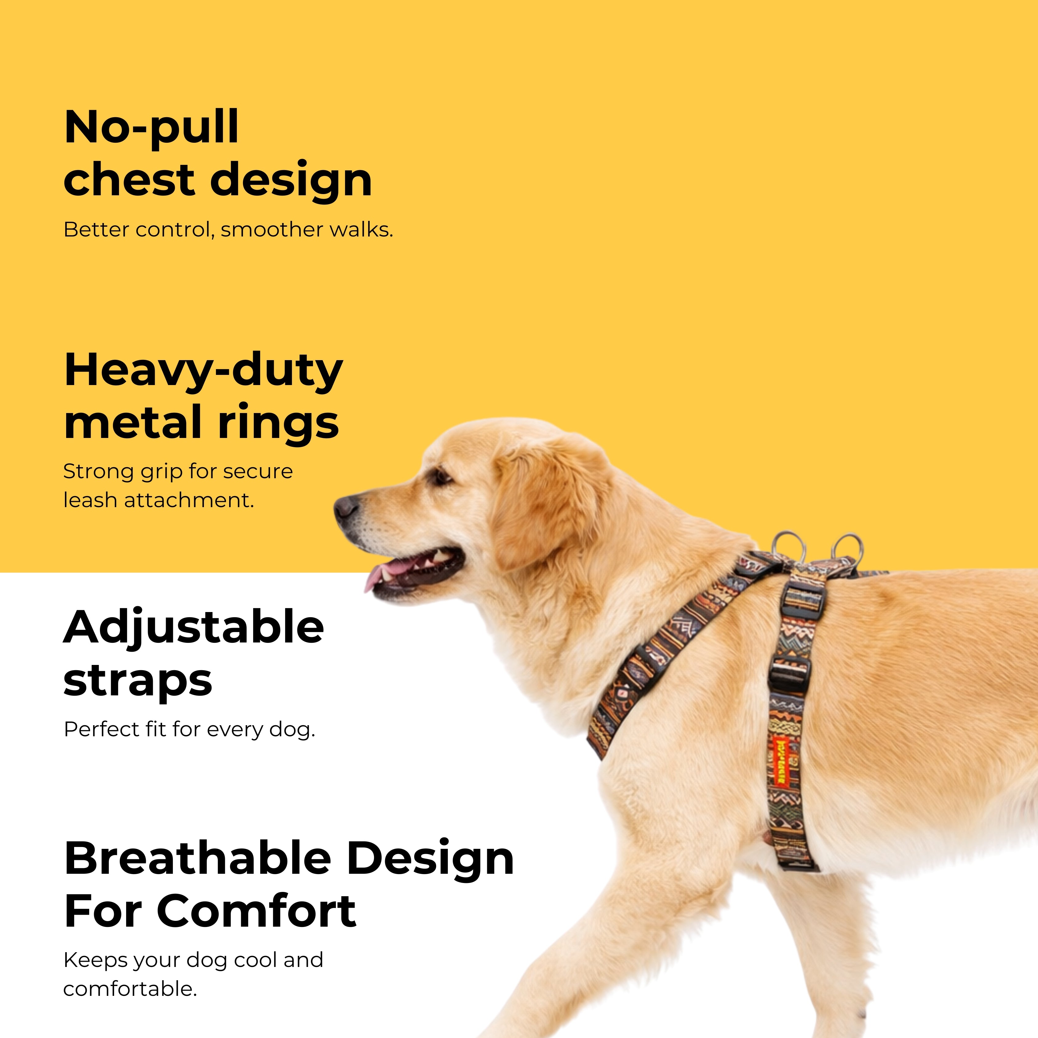 Heritage Harness & Matching Leash
