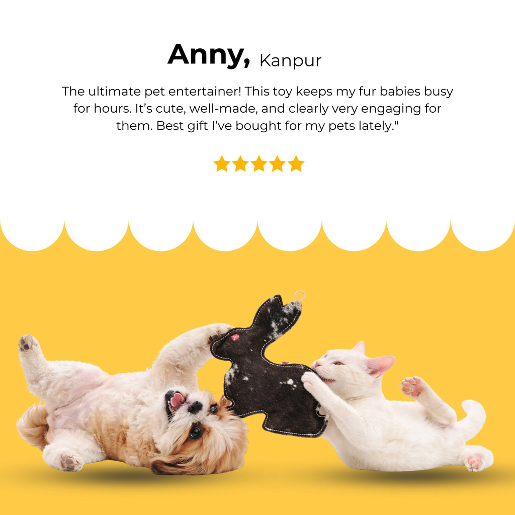 Midnight Bunny Squeaky Toy