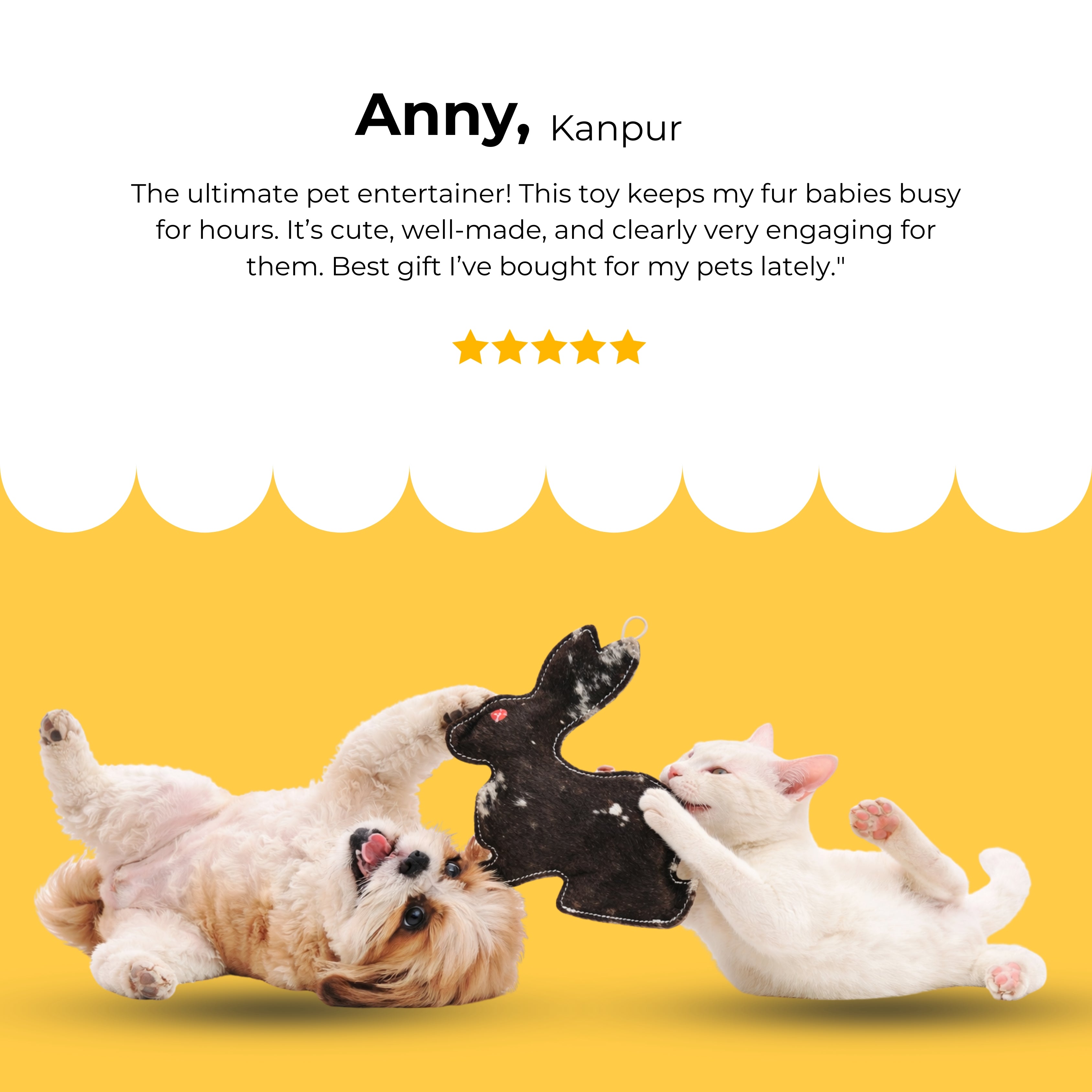 Midnight Bunny Squeaky Toy