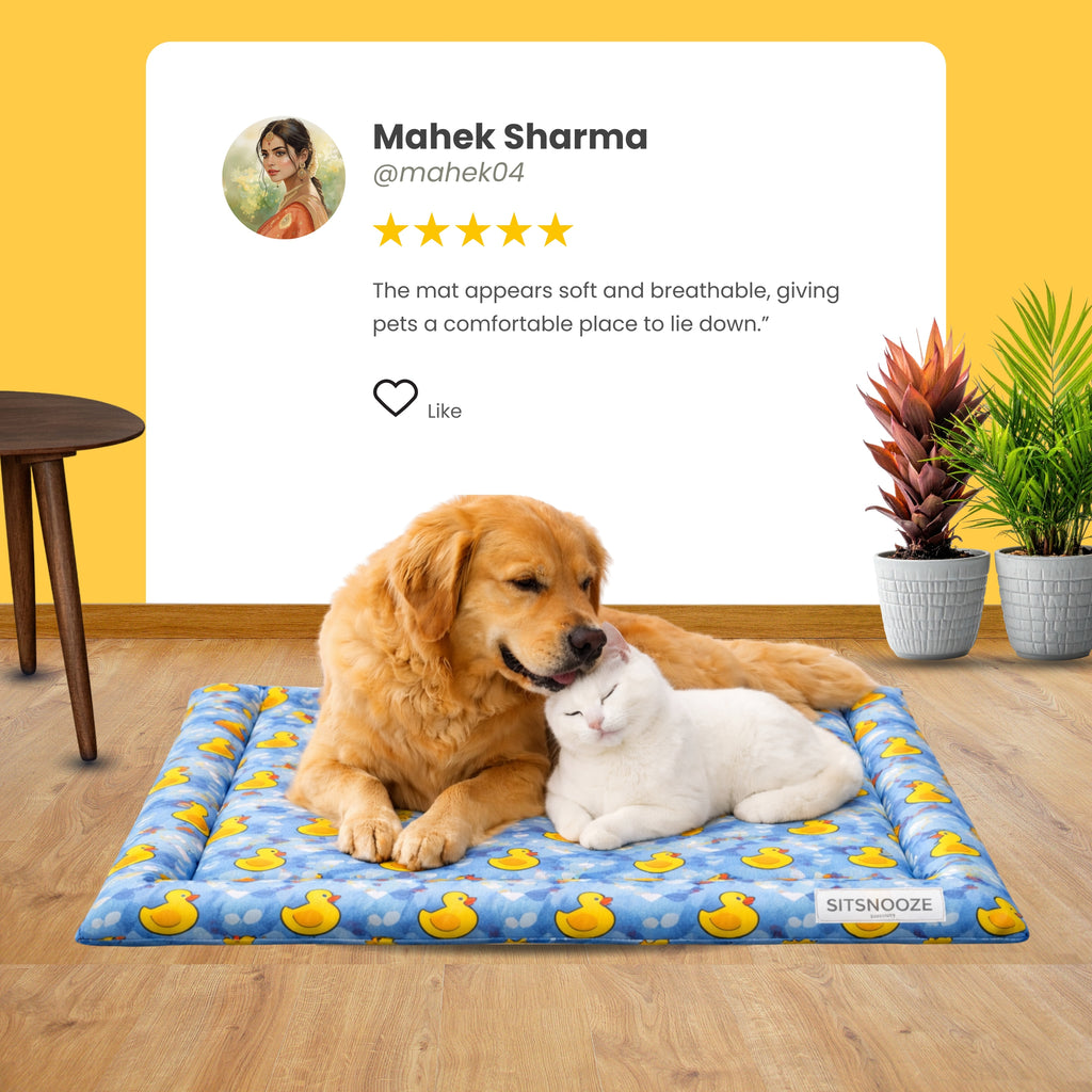 SnoozePad Mat Duck