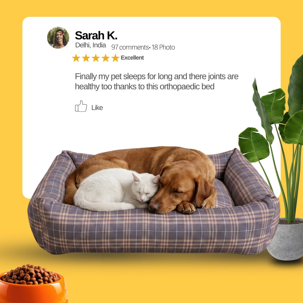 PawComfort Deluxe Lounger