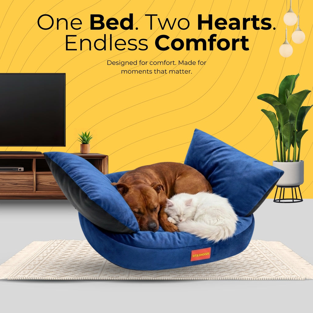 RoyalCouch Comfort Bed