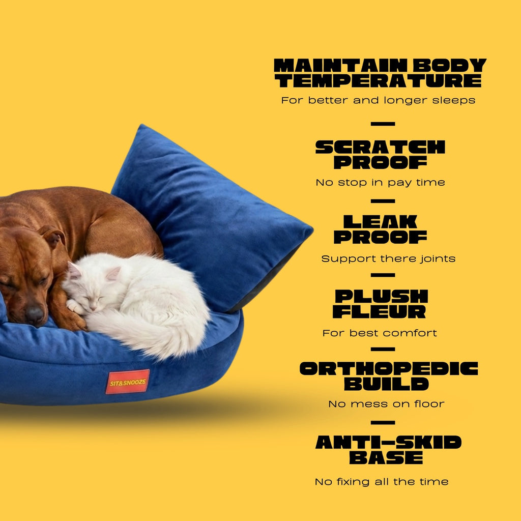 RoyalCouch Comfort Bed