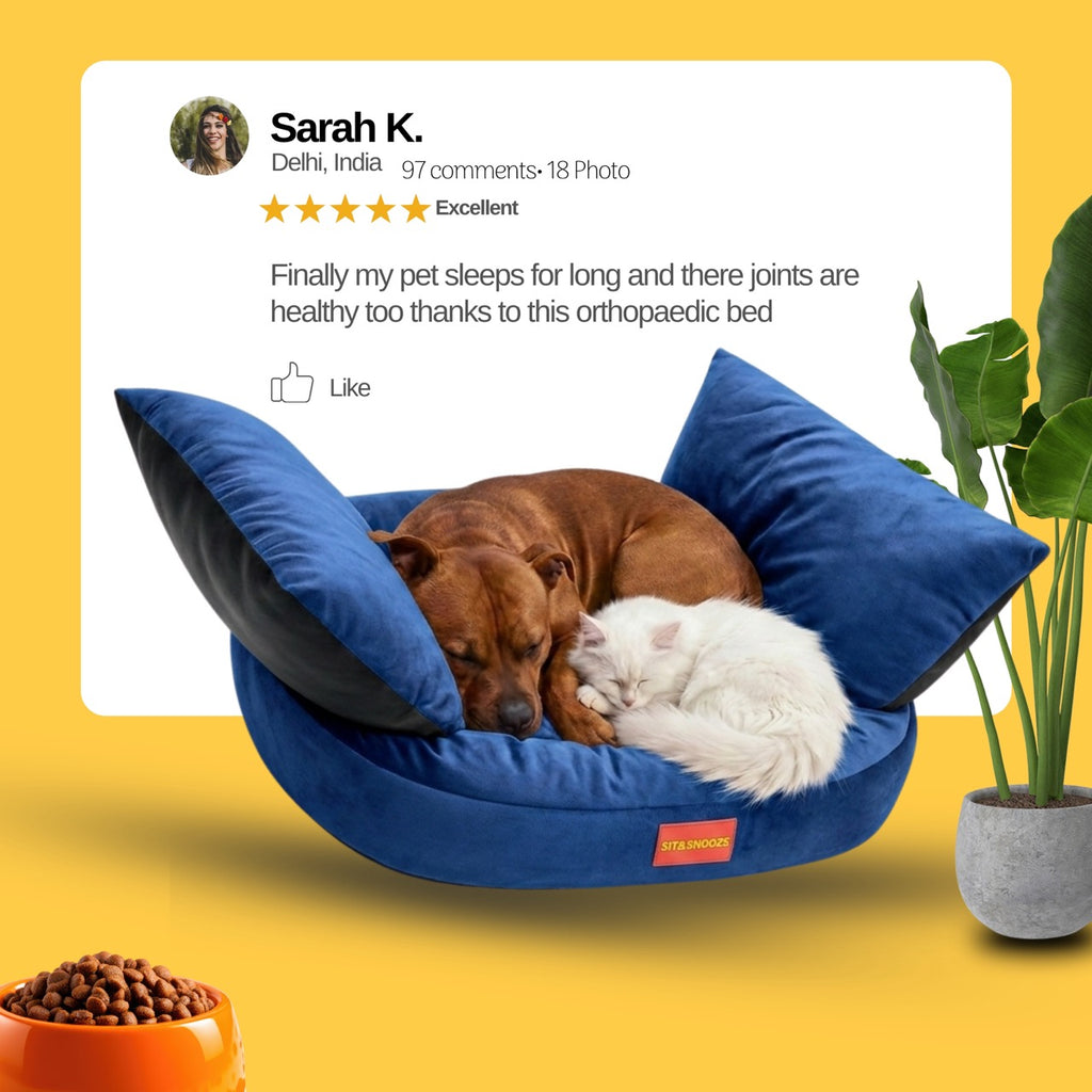 RoyalCouch Comfort Bed