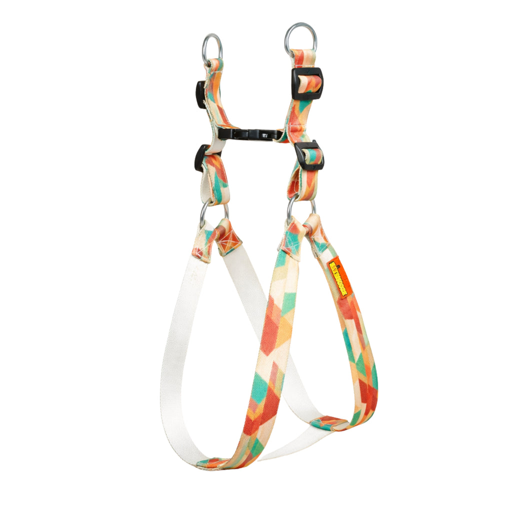Sunset Harness & Matching Leash
