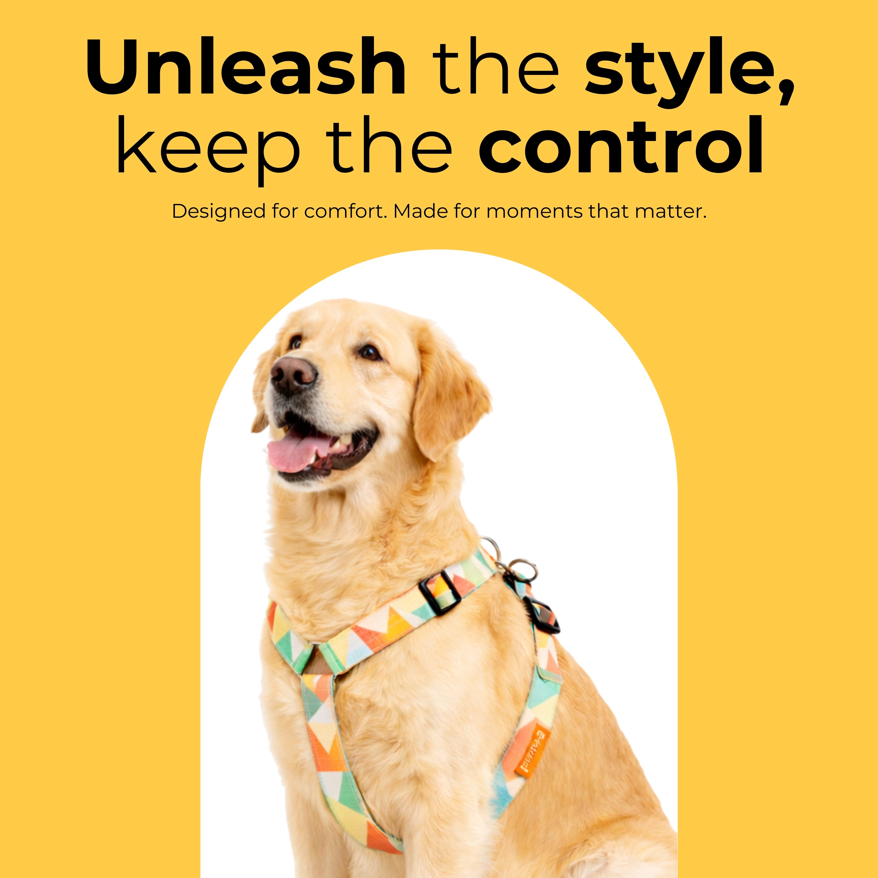 Sunset Harness & Matching Leash
