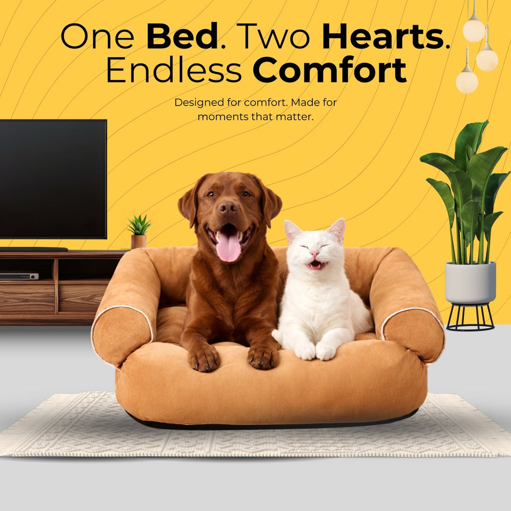 PawLounge Sofa Bed