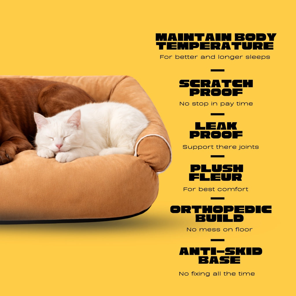 PawLounge Sofa Bed