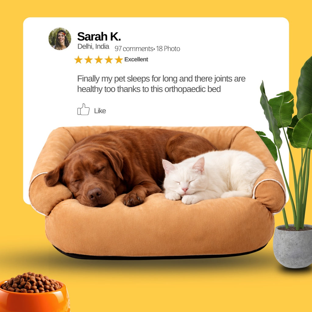 PawLounge Sofa Bed