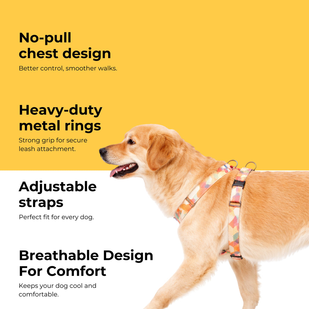 Sunset Harness & Matching Leash
