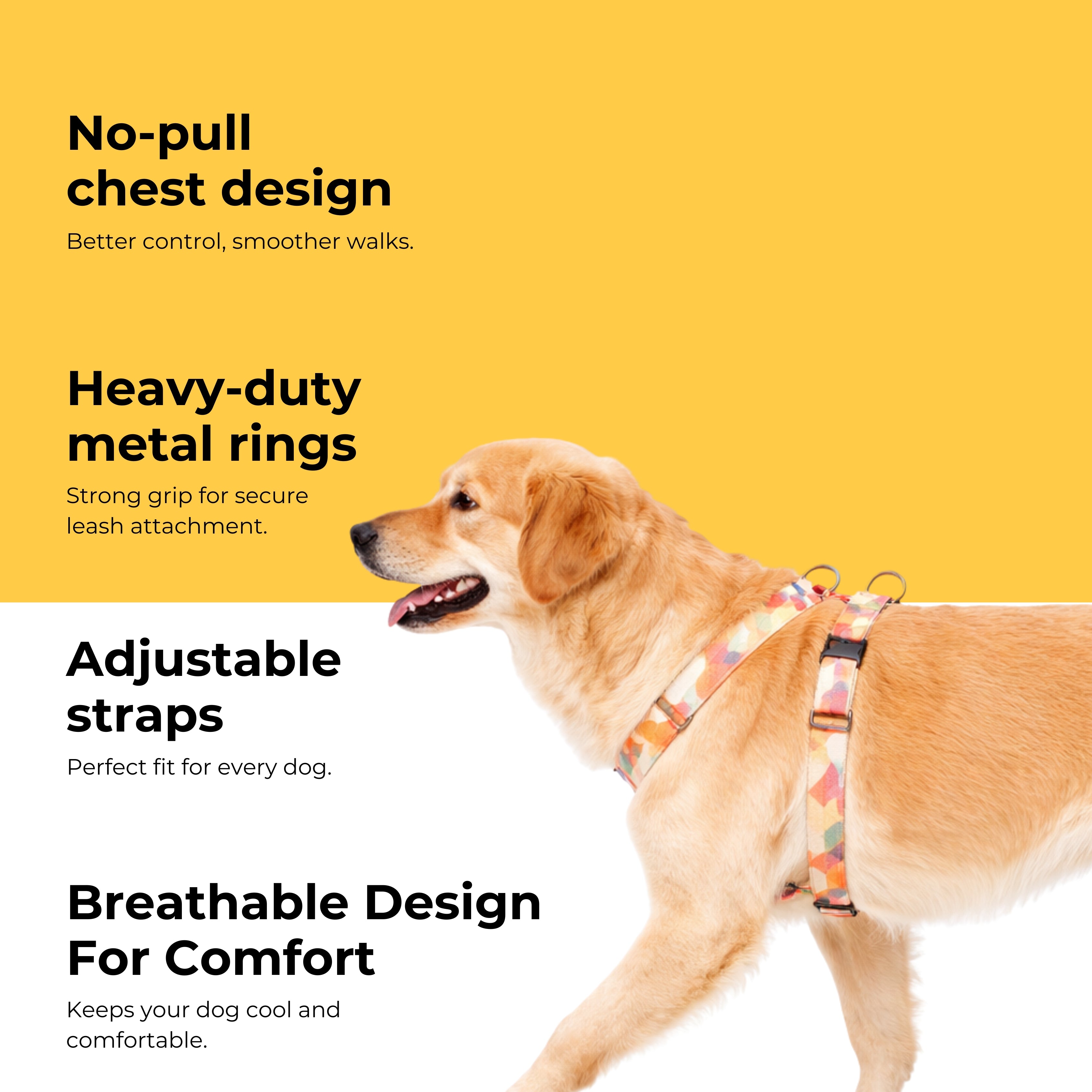 Sunset Harness & Matching Leash