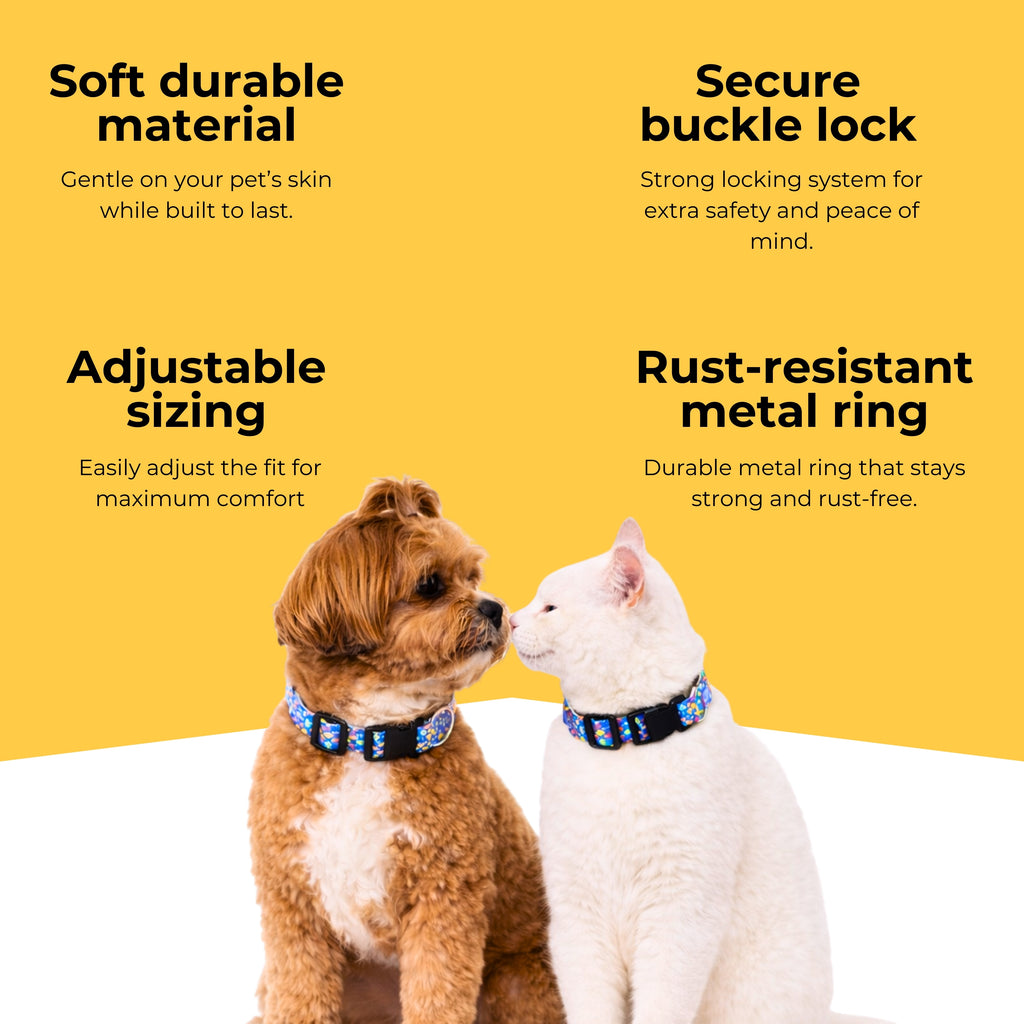 Artisan Blue Collar & Matching Leash