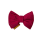 Pet Red Bow Tie & Rakhi Combo for Dogs & Cats | Raksha Bandhan Gift Set