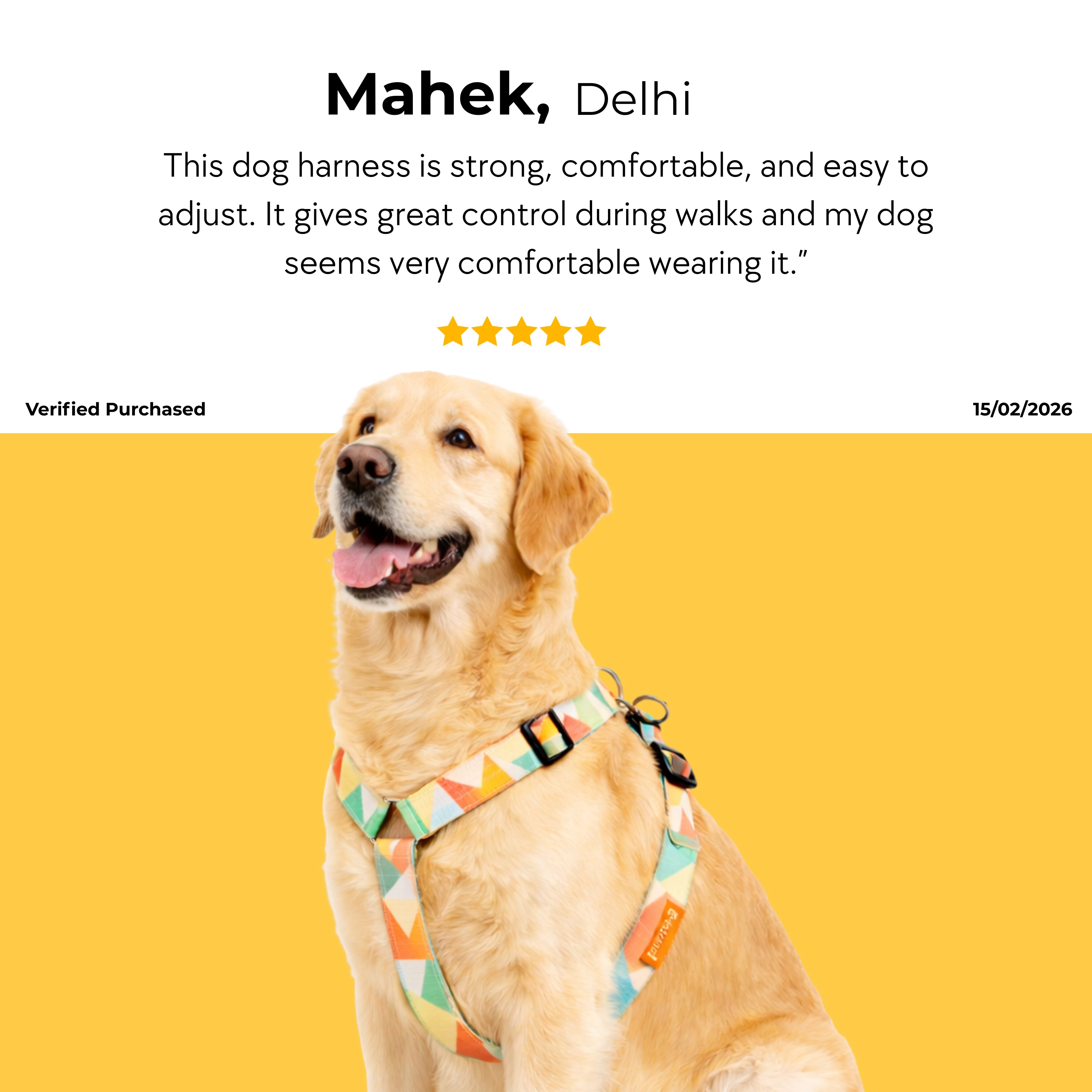 Sunset Harness & Matching Leash