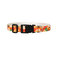 Sunset Collar & Matching Leash