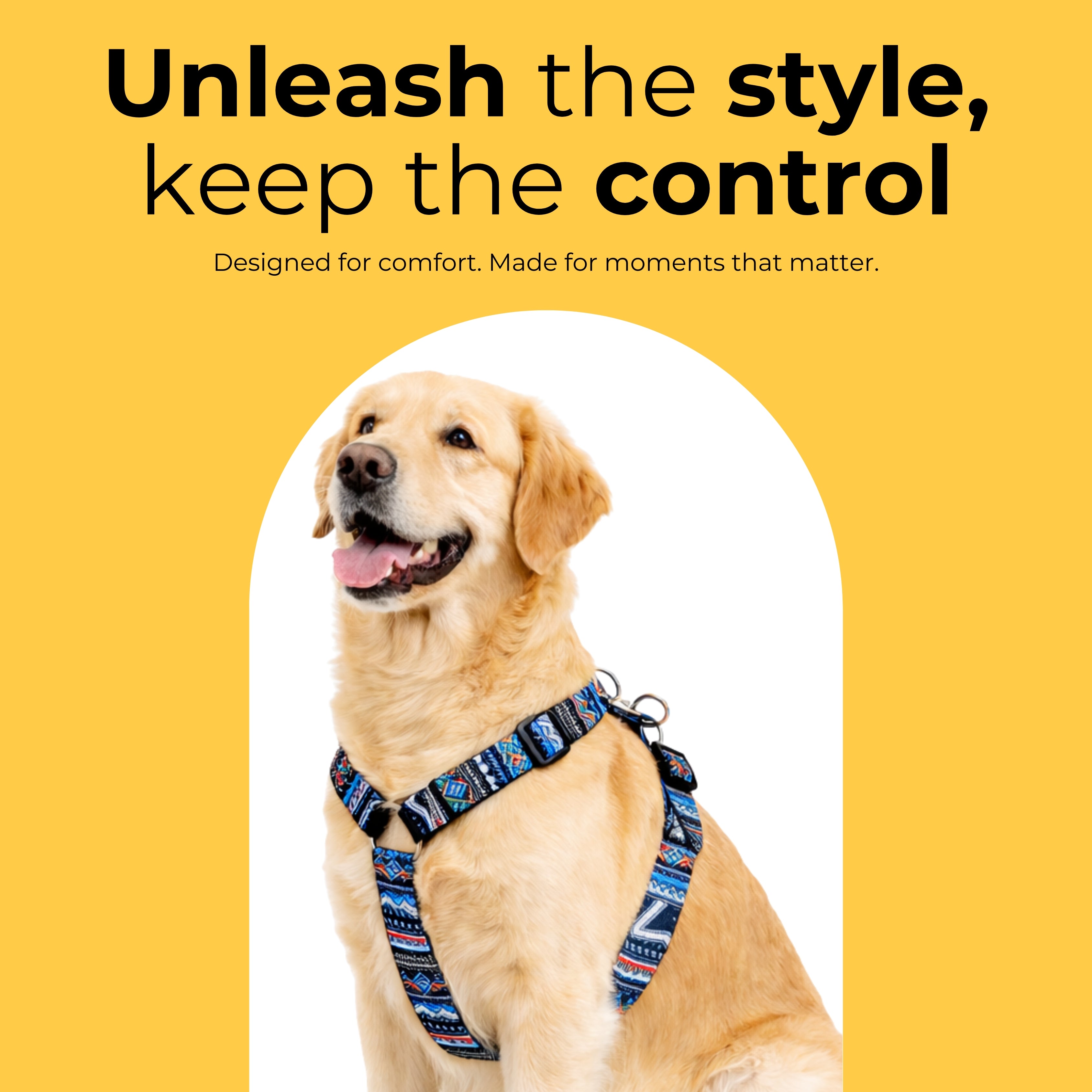 TrailWeave Harness & Matching Leash