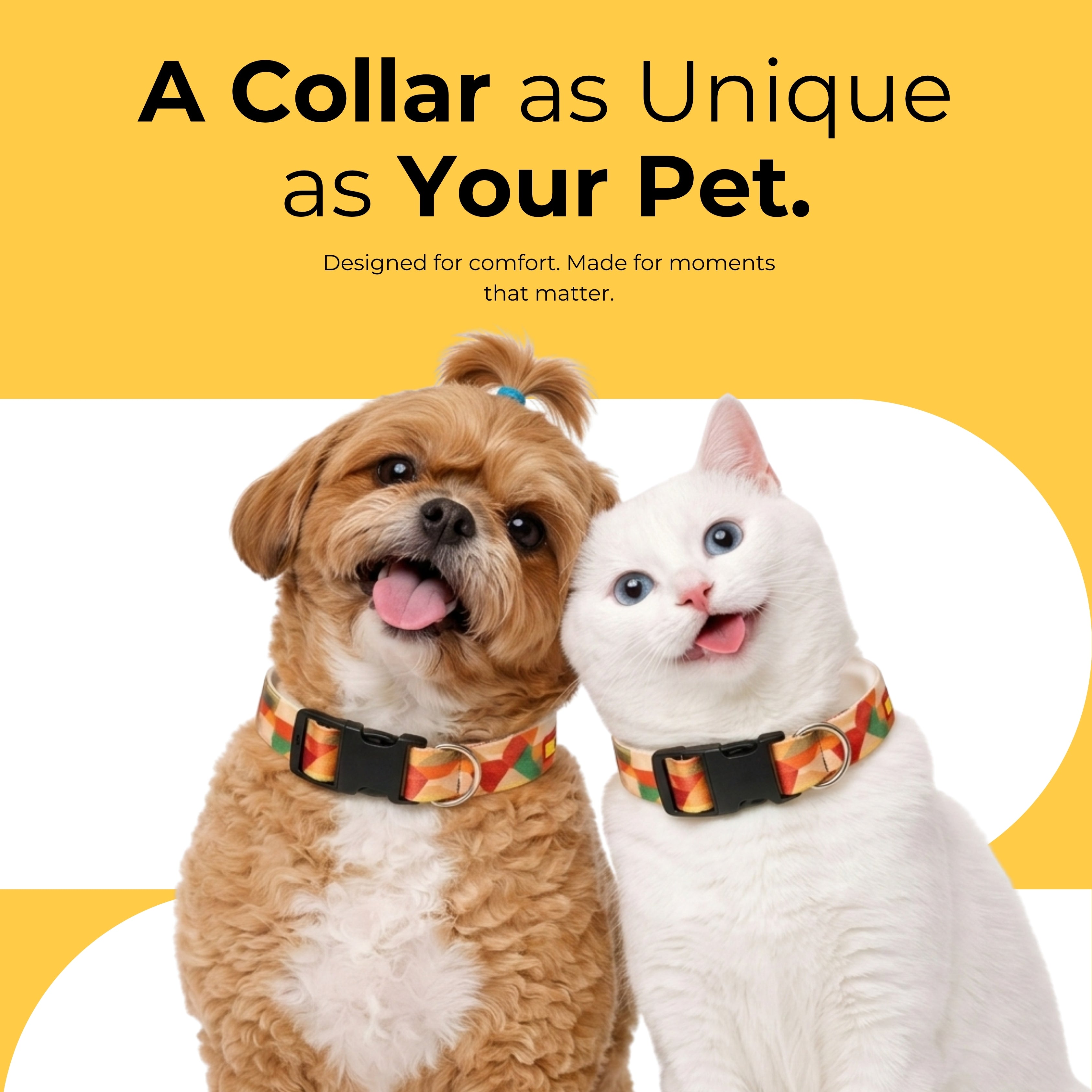 Sunset Collar & Matching Leash
