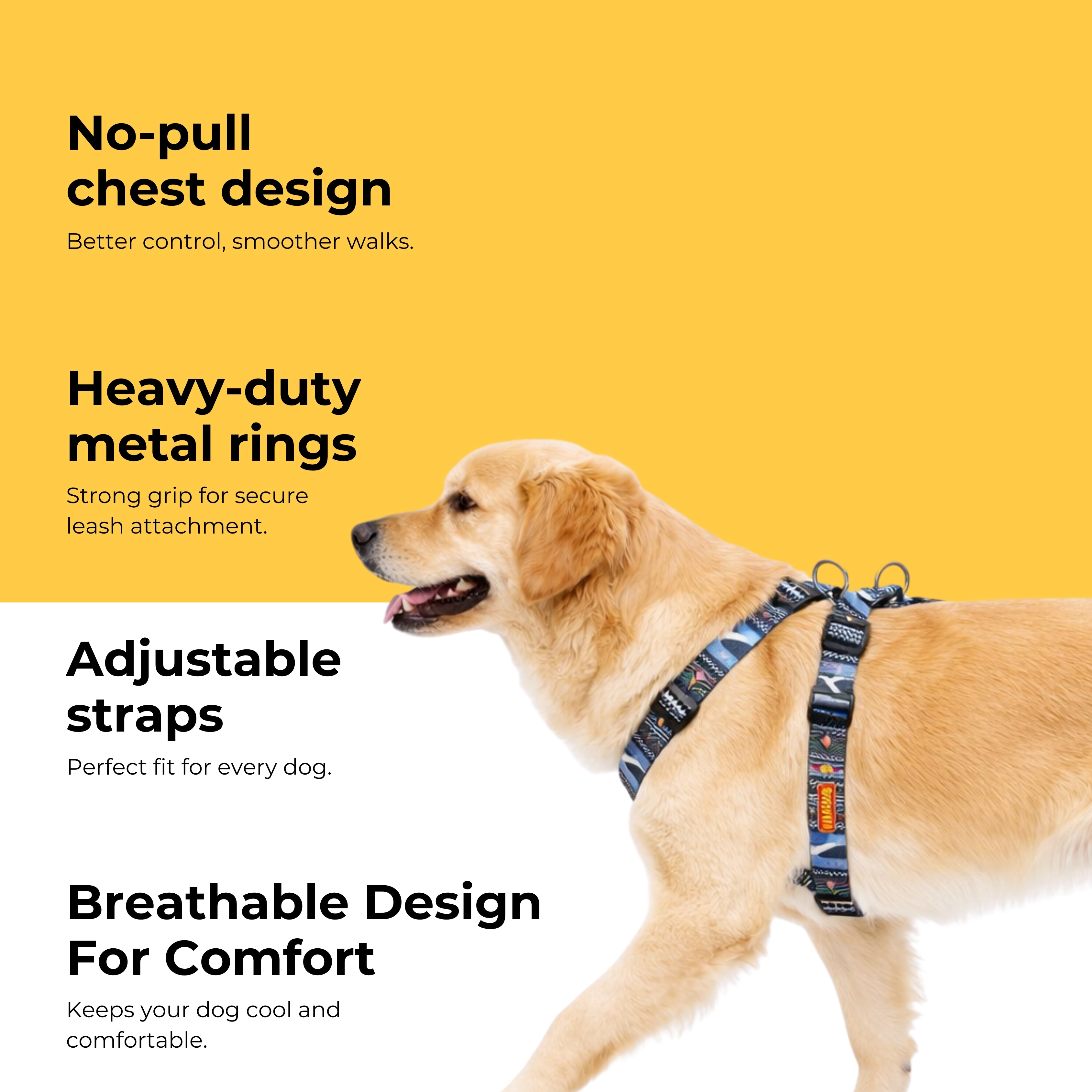 TrailWeave Harness & Matching Leash