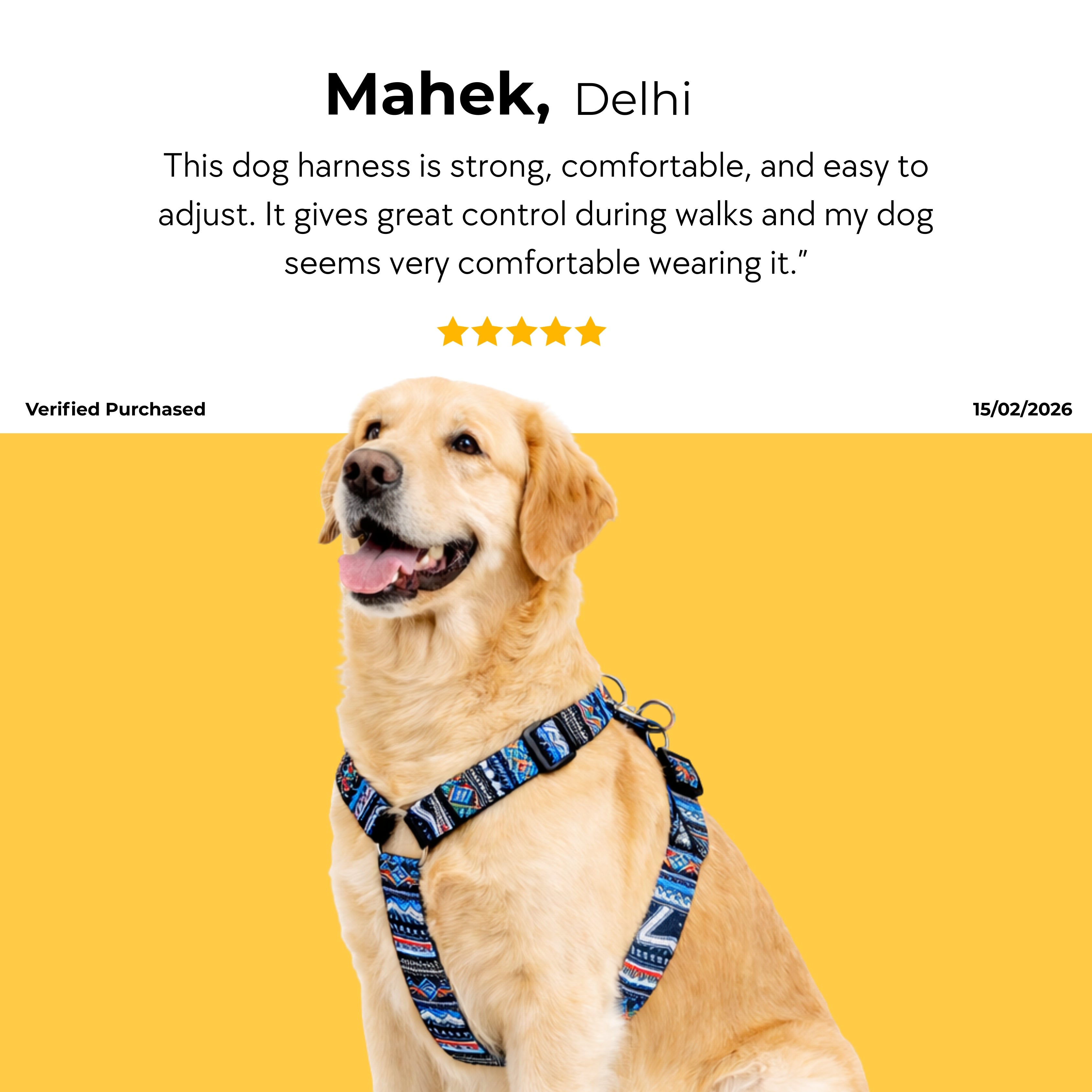 TrailWeave Harness & Matching Leash